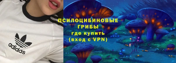 эйфоретик Козловка