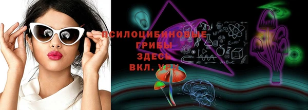 эйфоретик Козловка